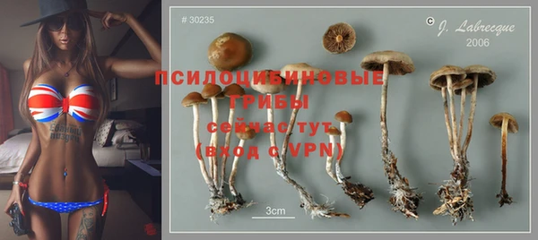 jwh Медвежьегорск