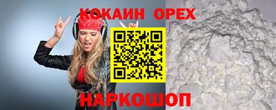 СК Бийск