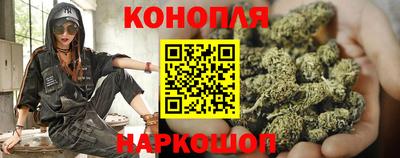 СК Бийск