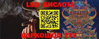 СК Бийск