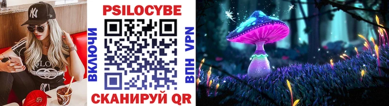 Галлюциногенные грибы Psilocybine cubensis  купить закладку  Майский 