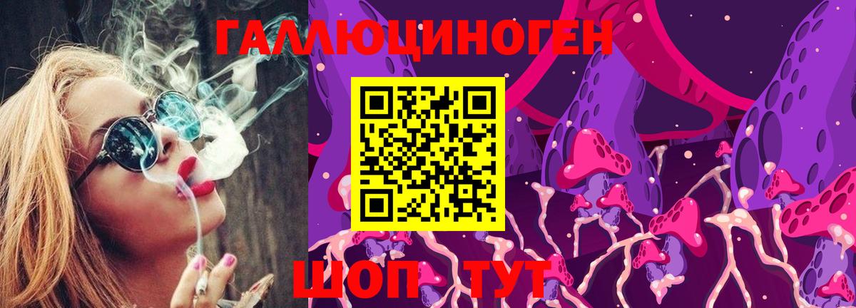 Псилоцибиновые грибы Psilocybine cubensis Майский