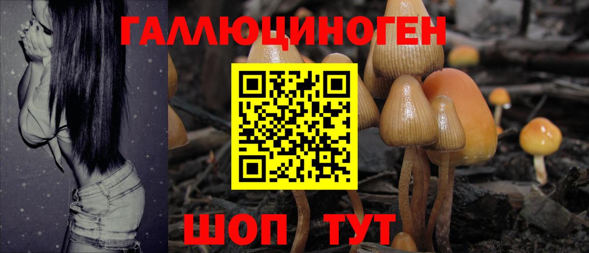 Галлюциногенные грибы Psilocybine cubensis  Вход с VPN  Псилоцибиновые грибы Psilocybe  Майский 