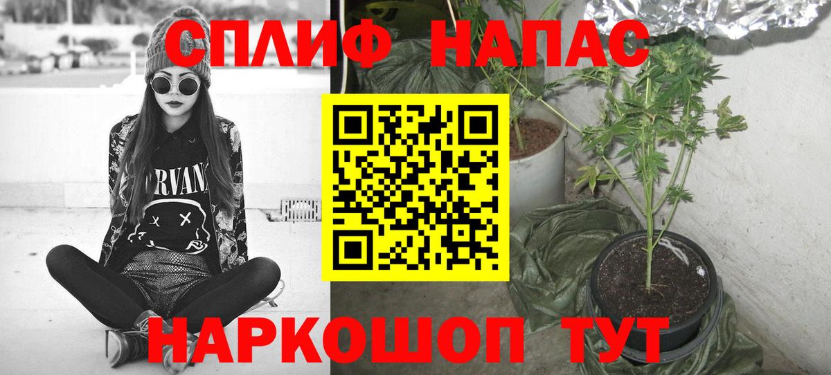 Каннабис ГИДРОПОН Майский